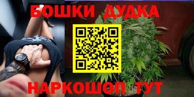 дживик Нальчик