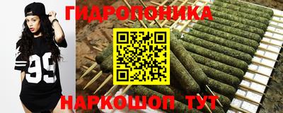 прущие грибы Нарткала