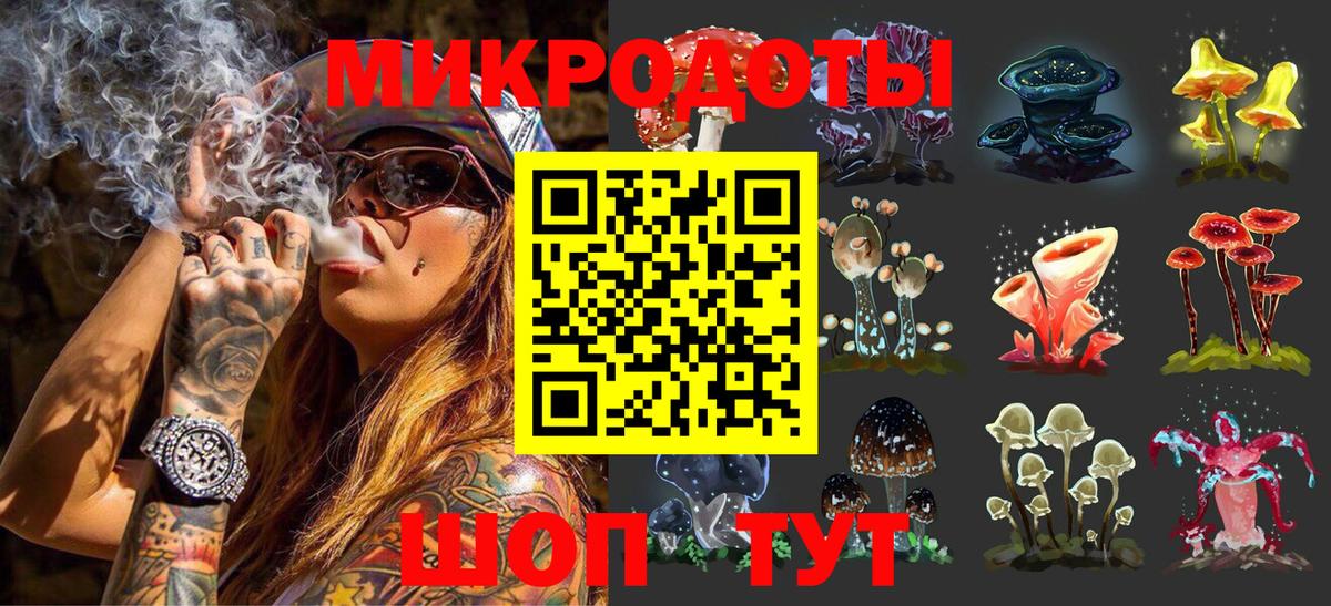 Псилоцибиновые грибы Psilocybine cubensis Ефремов