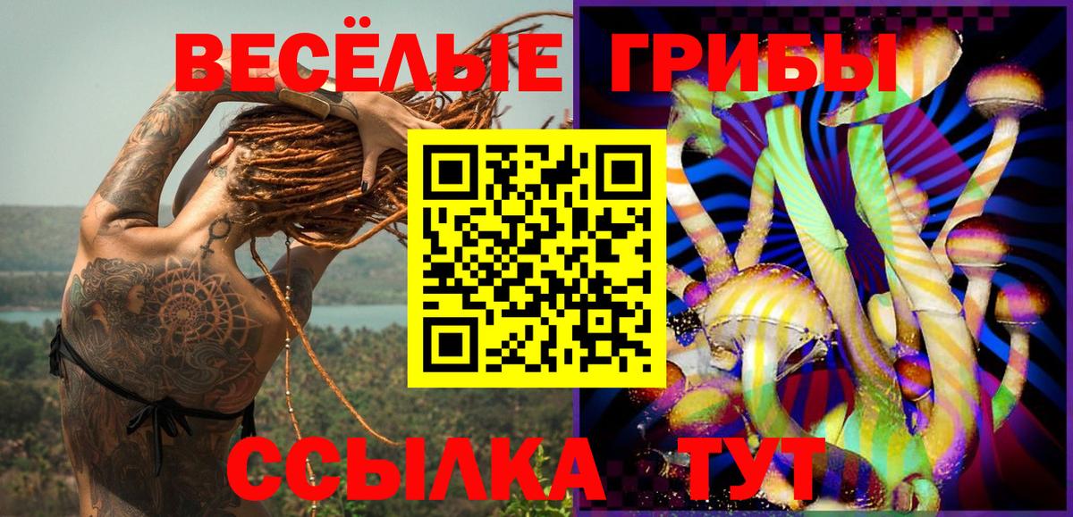 Галлюциногенные грибы Psilocybe  даркнет сайт  Ефремов  Галлюциногенные грибы мицелий  Вход с VPN 