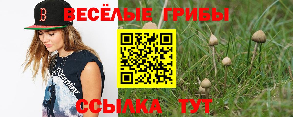 наркошоп  Ефремов  Псилоцибиновые грибы ЛСД 