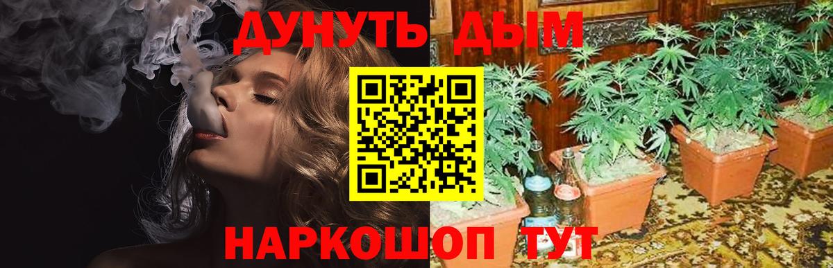 Шишки марихуана SATIVA & INDICA Ефремов