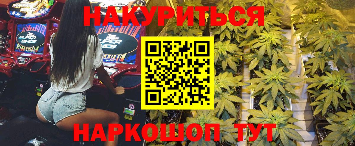 Бошки марихуана гибрид  Конопля планчик  Ефремов  Каннабис марихуана  Каннабис конопля 